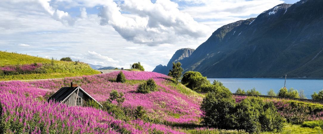 La vie est un long Fjord tranquille - Circuit groupé de 7 nuits à travers les plus beaux fjords de Norvège, de la Route des Trolls au Geirangerfjord classé à l'UNESCO, avec guide francophone tout au long du voyage. - Norvège : de Oslo à Lillehammer, Ålesund, Bergen