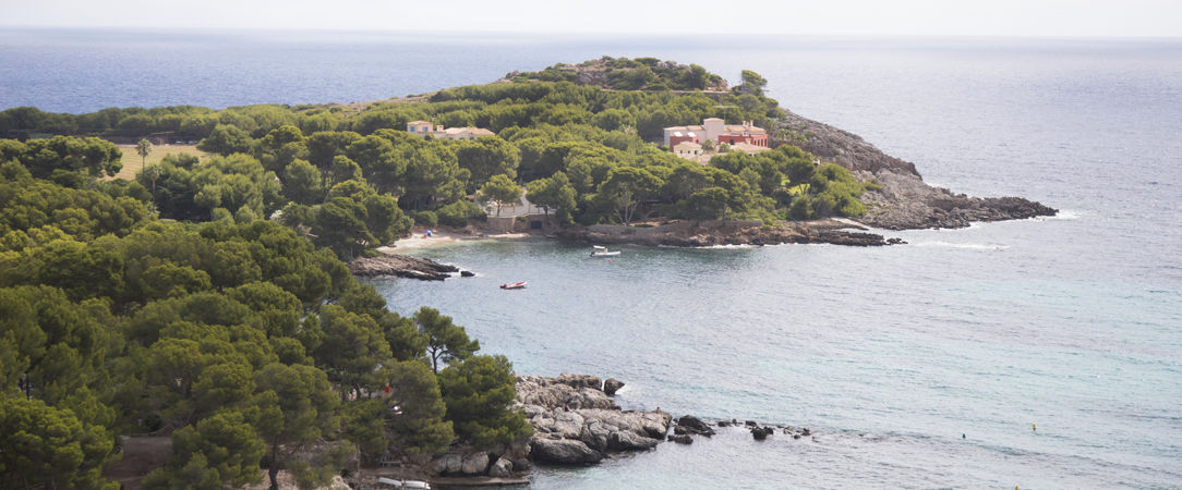 AluaSoul Carolina ★★★★ Adults Only 16+ - En tête-à-tête à Majorque en All Inclusive. - Majorque, Espagne