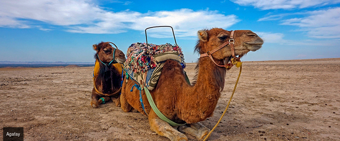 Entre montagne et désert, à la découverte du Maroc - Circuit de 4 à 7 ou 9 nuits de Marrakech à la côte atlantique d'Essaouira, à travers riads de charme, ports de pêche et désert rocailleux d'Agafay. - Maroc : Marrakech, Essaouira & Agafay