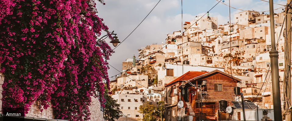 Les joyaux de la Jordanie - Circuit de 5 à 7 nuits à travers les merveilles de la cité rose en pension complète. - Jordanie