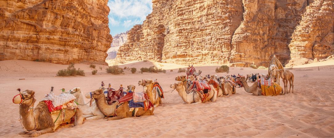 Splendeurs de Jordanie, du désert à la mer - Circuit de 5 à 7 nuits à travers les merveilles de la cité rose en pension complète. - Jordanie