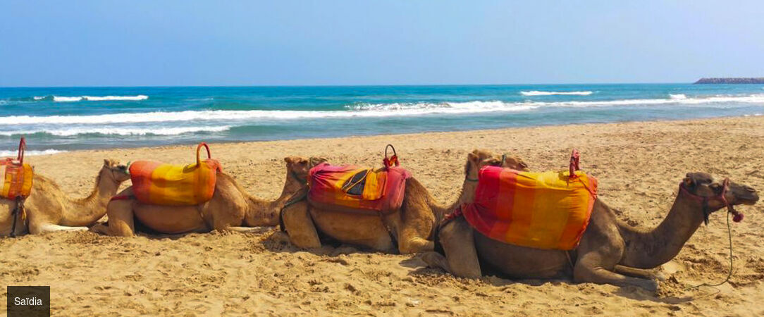 Be Live Collection Saïdia - Ôclub Experience ★★★★★ - L’esprit des vacances au bord de l’eau entre plages dorées, hospitalité marocaine et atmosphère Ôclub. - Saïdia, Maroc