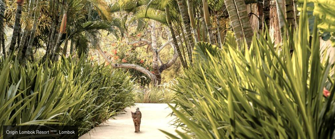 Trois âmes de l'Indonésie, une expérience unique - Combiné de 7 à 18 nuits d’Ubud à Seminyak en passant par Lombok, l’Indonésie en trois étapes pour une expérience unique. - Indonésie : Ubud, Lombok & Seminyak