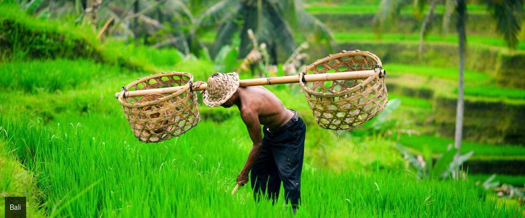 Trois âmes de l'Indonésie, une expérience unique - Combiné de 7 à 18 nuits d’Ubud à Seminyak en passant par Lombok, l’Indonésie en trois étapes pour une expérience unique. - Indonésie : Ubud, Lombok & Seminyak