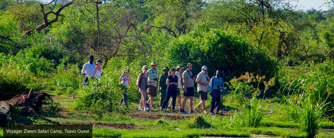Safari Tsavo & Douceur Swahilie à Watamu - Safari de 7 à 14 nuits entre la savane de Tsavo et les plages de Watamu, pour une évasion kenyane entre aventure sauvage et douceur tropicale. - Kenya : Watamu & Parcs de Tsavo
