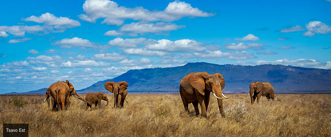 Safari Tsavo & Douceur Swahilie à Watamu - Safari de 7 à 14 nuits entre la savane de Tsavo et les plages de Watamu, pour une évasion kenyane entre aventure sauvage et douceur tropicale. - Kenya : Watamu & Parcs de Tsavo