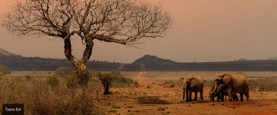 Safari Tsavo & Douceur Swahilie à Watamu - Safari de 7 à 14 nuits entre la savane de Tsavo et les plages de Watamu, pour une évasion kenyane entre aventure sauvage et douceur tropicale. - Kenya : Watamu & Parcs de Tsavo