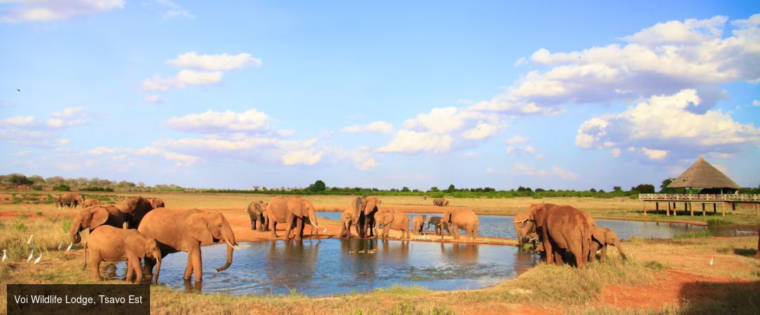 Safari Tsavo & Douceur Swahilie à Watamu - Safari de 7 à 14 nuits entre la savane de Tsavo et les plages de Watamu, pour une évasion kenyane entre aventure sauvage et douceur tropicale. - Kenya : Watamu & Parcs de Tsavo