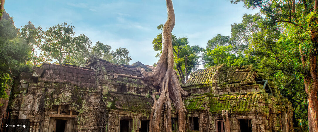 Essences du Vietnam et du Cambodge - Circuit privatif de 9, 11 ou 13 nuits à la découverte des essences de l'Indochine, de la majesté de la baie d'Ha Long à la magie des temples d'Angkor. - Vietnam & Cambodge : Hanoï, Hué, Hoi An & Siem Reap