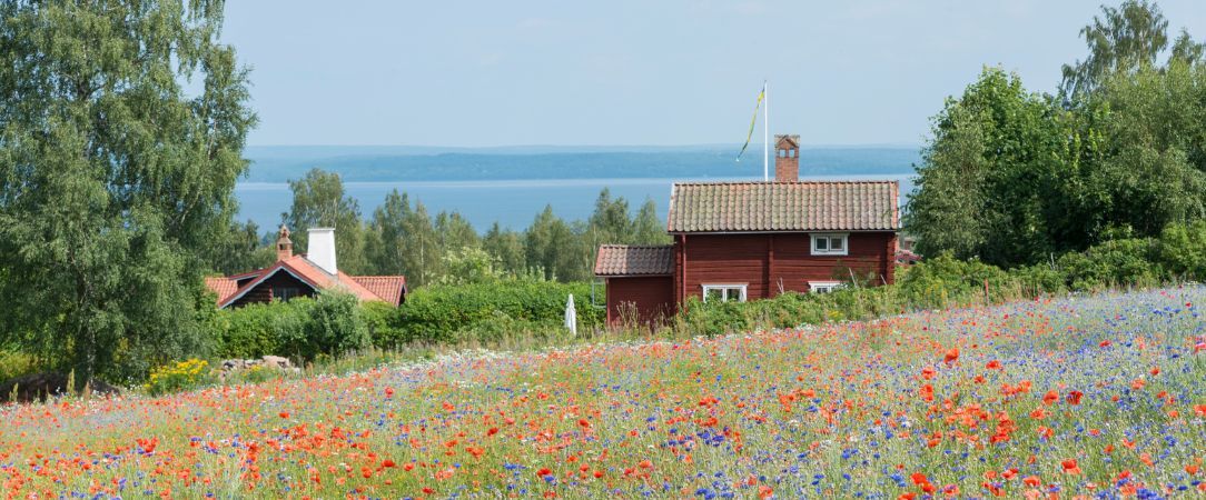 Suède, de Stockholm aux Rivages - Découvrez la Suède authentique au volant, de Stockholm la Venise du Nord aux falaises de Bohuslan, en passant par les forêts de Dalécarlie et les rives du lac Vänern. Un voyage entre nature, culture et grands espaces nordiques. - Suède