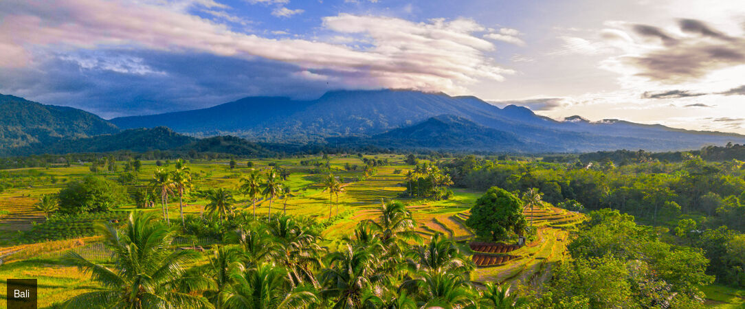 Entre rizières sacrées et lagons cristallins - Combiné de 9, 10, 12 et 14 nuits entre la jungle spirituelle d'Ubud, les eaux cristallines de Gili Trawangan et le luxe balnéaire de Nusa Dua. - Indonésie : Ubud, Gili Trawangan & Nusa Dua