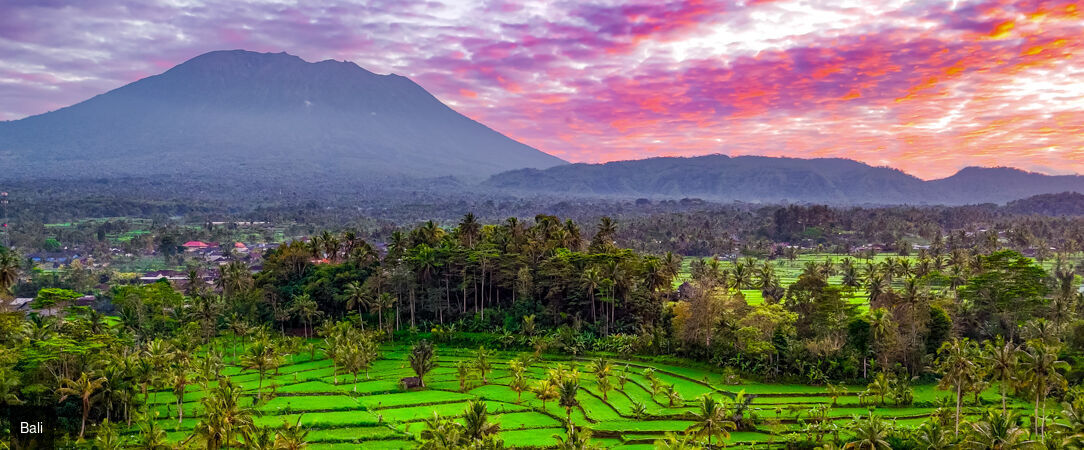 Entre rizières sacrées et lagons cristallins - Combiné de 9, 10, 12 et 14 nuits entre la jungle spirituelle d'Ubud, les eaux cristallines de Gili Trawangan et le luxe balnéaire de Nusa Dua. - Indonésie : Ubud, Gili Trawangan & Nusa Dua