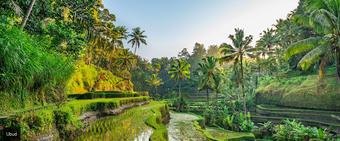 Entre rizières sacrées et lagons cristallins - Combiné de 9, 10, 12 et 14 nuits entre la jungle spirituelle d'Ubud, les eaux cristallines de Gili Trawangan et le luxe balnéaire de Nusa Dua. - Indonésie : Ubud, Gili Trawangan & Nusa Dua