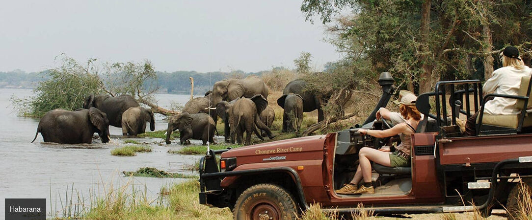 Sri Lanka : Trésors et Plages dorées - Circuit privatif luxueux de 9, 11 ou 13 nuits au plus près de la nature dans les terres sri-lankaises. - Sri Lanka : de Colombo à Balapitiya