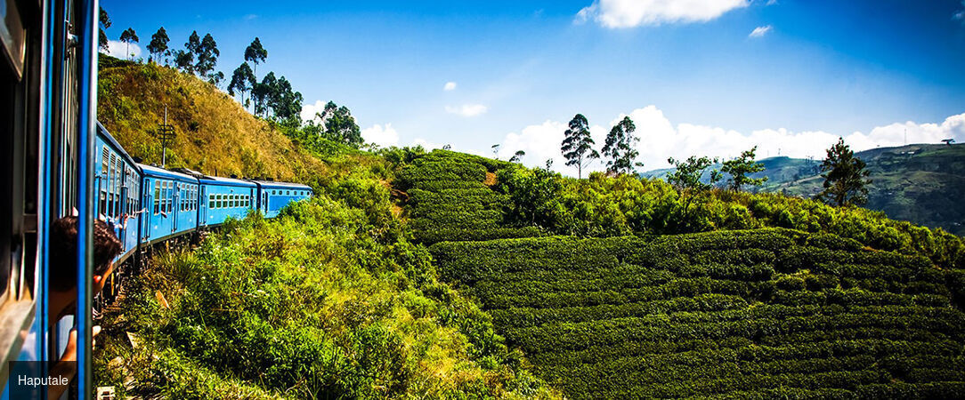 Sri Lanka : Trésors et Plages dorées - Circuit privatif luxueux de 9, 11 ou 13 nuits au plus près de la nature dans les terres sri-lankaises. - Sri Lanka : de Colombo à Balapitiya