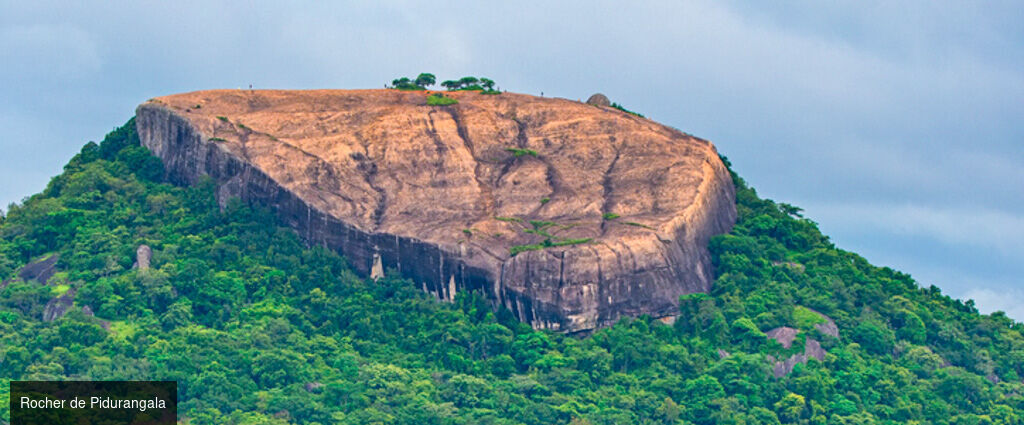 Sri Lanka : Trésors et Plages dorées - Circuit privatif luxueux de 9, 11 ou 13 nuits au plus près de la nature dans les terres sri-lankaises. - Sri Lanka : de Colombo à Balapitiya