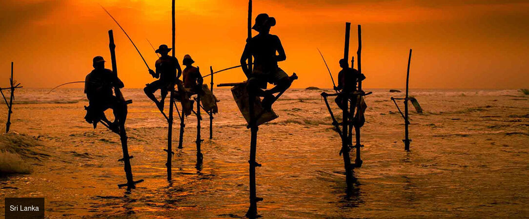 Sri Lanka : Trésors et Plages dorées - Circuit privatif luxueux de 9, 11 ou 13 nuits au plus près de la nature dans les terres sri-lankaises. - Sri Lanka : de Colombo à Balapitiya
