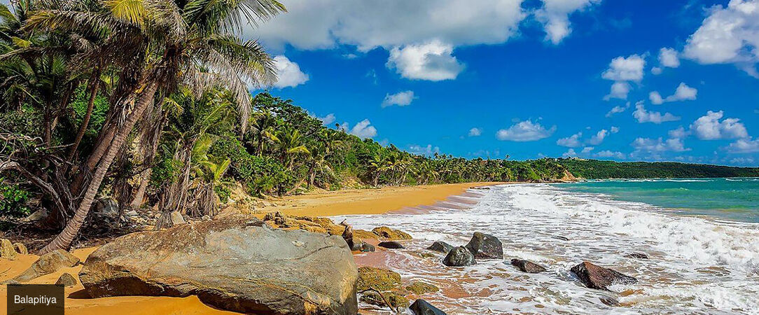 Sri Lanka : Trésors et Plages dorées - Circuit privatif luxueux de 9, 11 ou 13 nuits au plus près de la nature dans les terres sri-lankaises. - Sri Lanka : de Colombo à Balapitiya