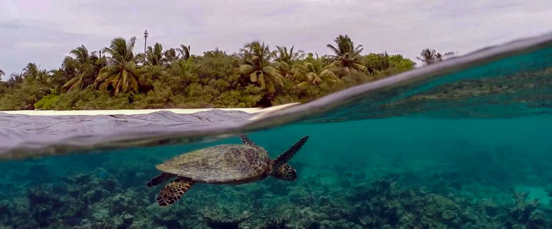 Eri Maldives ★★★★ - Une parenthèse maldivienne entre villas tropicales, récifs préservés et sérénité absolue. - Maldives