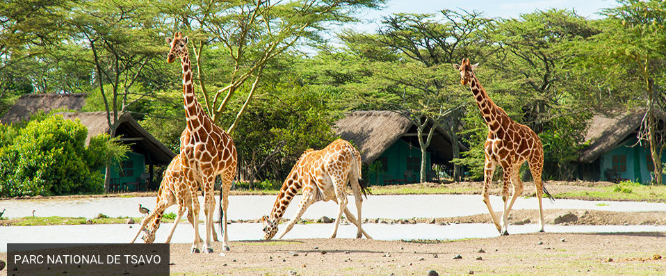 Combiné Sands & Safari 2 nuits ★★★★ - Entre vie sauvage & paradis perdu au Kenya. - Kenya