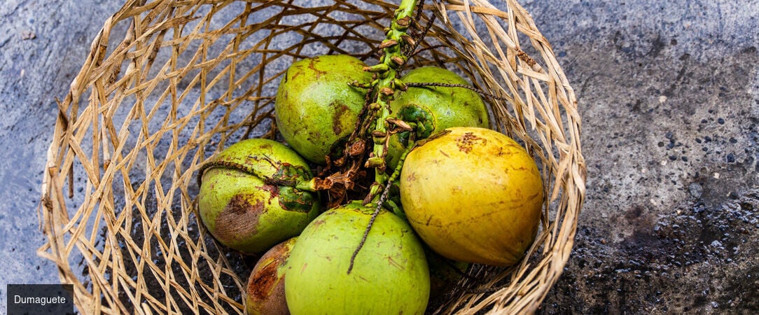 Les Trésors des Visayas - Combiné exclusif de 10, 12 ou 14 nuits à travers les Visayas, de l'effervescence de Manille aux plages de Panglao. - Philippines