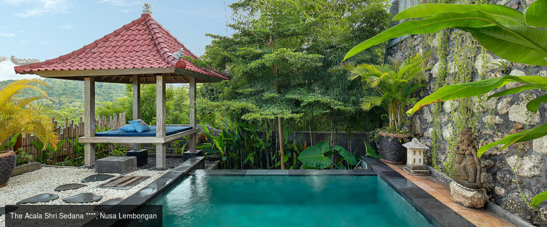 Escapade balinaise, entre terre et îles - Combiné de 7 à 18 nuits à Bali, entre la sérénité d'Ubud, les eaux cristallines de Nusa Lembongan et l'ambiance chic de Seminyak. - Indonésie : Ubud, Nusa Lembongan & Seminyak