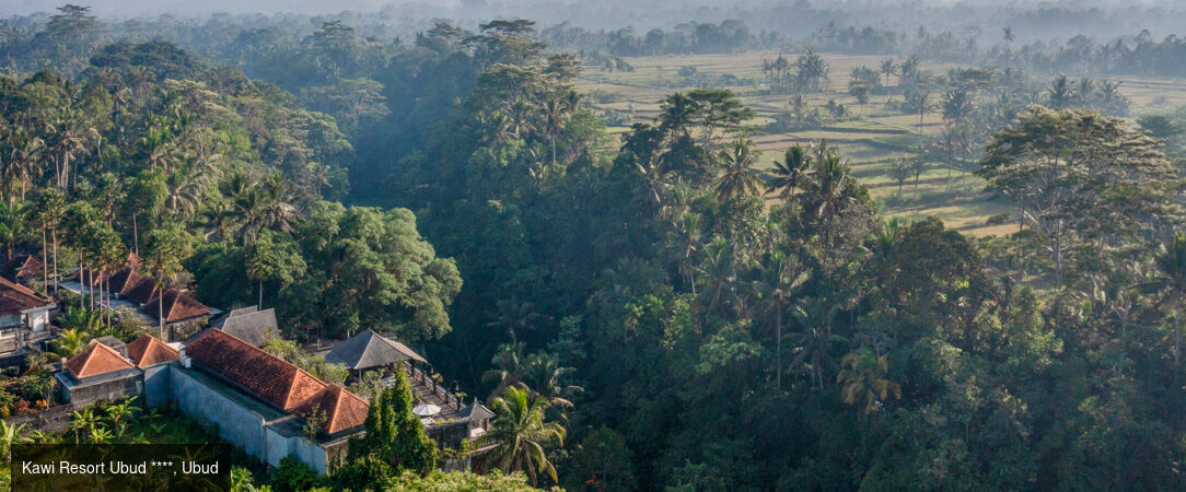 Escapade balinaise, entre terre et îles - Combiné de 7 à 18 nuits à Bali, entre la sérénité d'Ubud, les eaux cristallines de Nusa Lembongan et l'ambiance chic de Seminyak. - Indonésie : Ubud, Nusa Lembongan & Seminyak