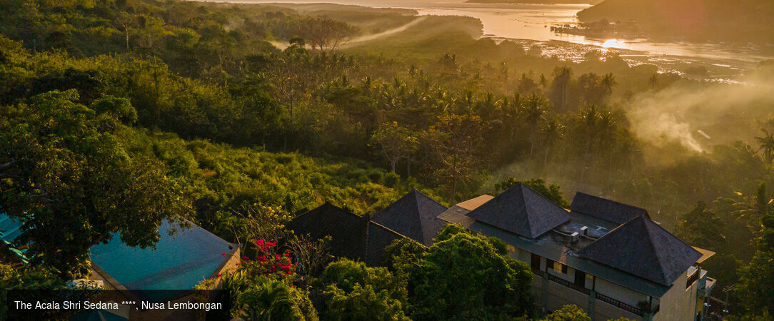 Escapade balinaise, entre terre et îles - Combiné de 7 à 18 nuits à Bali, entre la sérénité d'Ubud, les eaux cristallines de Nusa Lembongan et l'ambiance chic de Seminyak. - Indonésie : Ubud, Nusa Lembongan & Seminyak