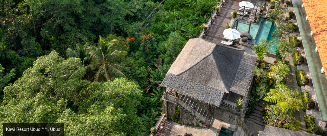 Escapade balinaise, entre terre et îles - Combiné de 7 à 18 nuits à Bali, entre la sérénité d'Ubud, les eaux cristallines de Nusa Lembongan et l'ambiance chic de Seminyak. - Indonésie : Ubud, Nusa Lembongan & Seminyak