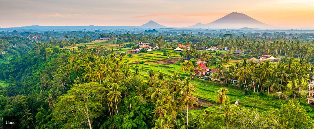 Escapade balinaise, entre terre et îles - Combiné de 7 à 18 nuits à Bali, entre la sérénité d'Ubud, les eaux cristallines de Nusa Lembongan et l'ambiance chic de Seminyak. - Indonésie : Ubud, Nusa Lembongan & Seminyak