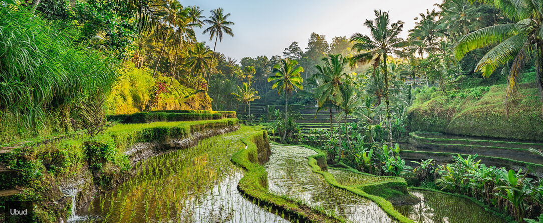 Bali & Lombok en 3 étapes exclusives - Combiné de 7 à 18 nuits entre rizières, plages et villas avec piscine privée. - Indonésie : Ubud, Lombok & Canggu
