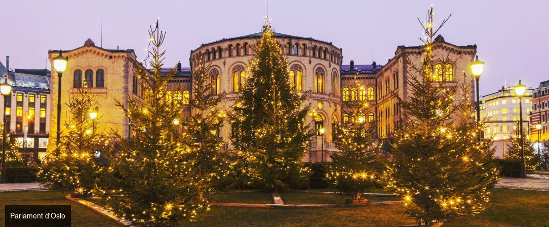Noël dans les Fjords norvégiens - Circuit individuel en autonomie de 6 ou 8 nuits de Bergen aux fjords enneigés jusqu'à Oslo, pour un Noël féerique en Norvège - Norvège : Bergen, Flåm et Oslo