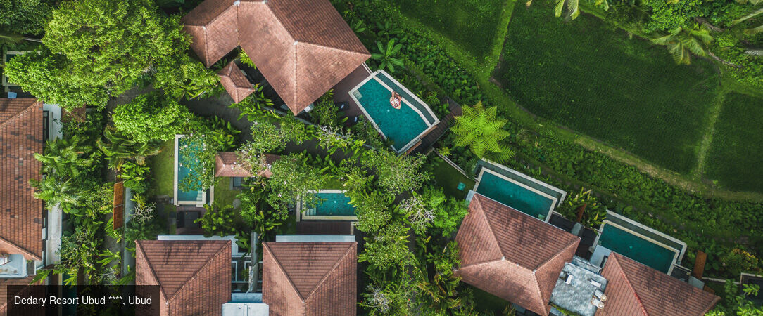 De la jungle sacrée aux rivages bohèmes - Combiné de 7 à 18 nuits d'Ubud à Canggu via Lovina, une odyssée balinaise en villa avec piscine privée tout au long du séjour. - Indonésie : Ubud, Lovina & Canggu