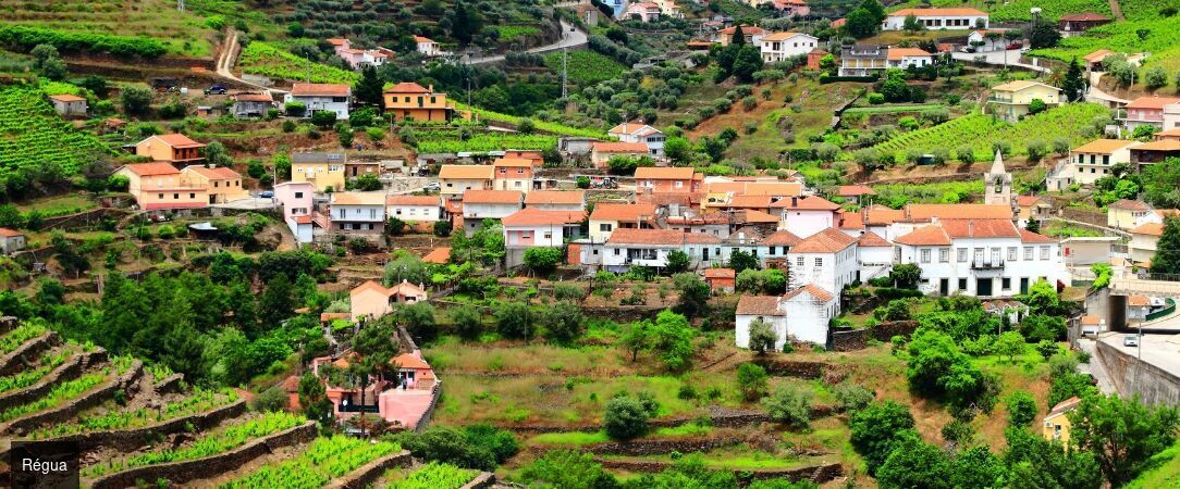 L'Or du Douro avec Rivages du Monde - Croisière de 7 nuits au fil du Douro, entre vignobles et cités historiques - Portugal
