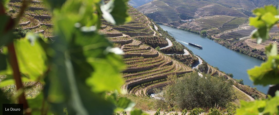 L'Or du Douro avec Rivages du Monde - Croisière de 7 nuits au fil du Douro, entre vignobles et cités historiques - Portugal