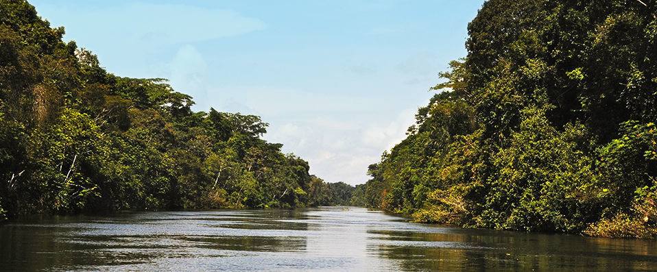 Croisière de luxe en Amazonie - 8 jours de rêve à la découverte de la jungle amazonienne. - Pérou