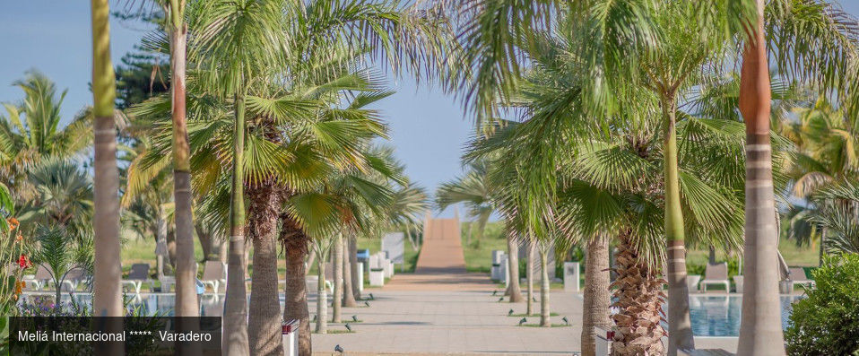 Luxe, culture & soleil à Cuba - Combiné de 7, 9, 10, 12 ou 14 nuits entre La Havane et Varadero pour découvrir l’authenticité cubaine entre ambiance coloniale et plages turquoise. - Cuba : La Havane & Varadero