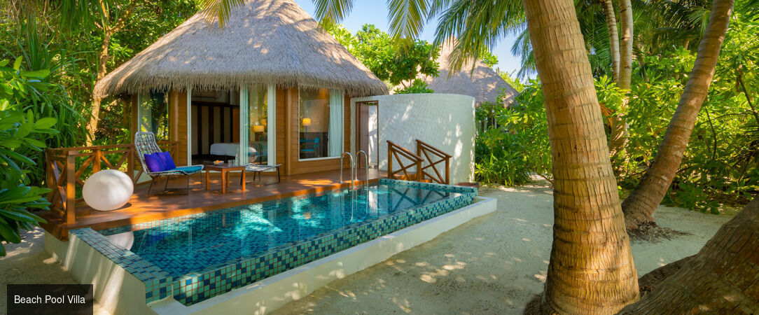 Mercure Kooddoo Maldives ★★★★ - Adults Only - Escapade les pieds dans l’eau aux Maldives. - Maldives