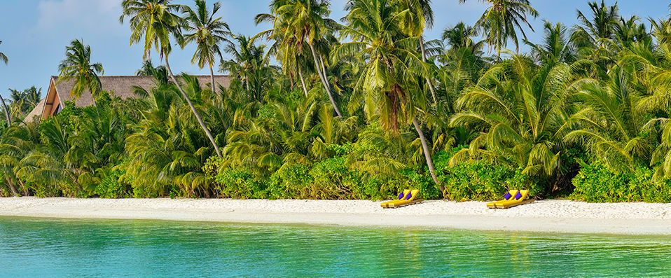 Mercure Kooddoo Maldives ★★★★ - Adults Only - Escapade les pieds dans l’eau aux Maldives. - Maldives