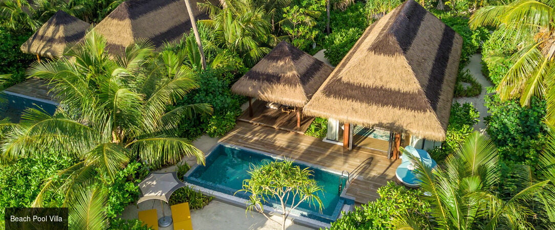 Pullman Maldives Maamutaa Resort ★★★★★ - Un rêve éveillé au-delà de toutes vos exigences. - Maldives