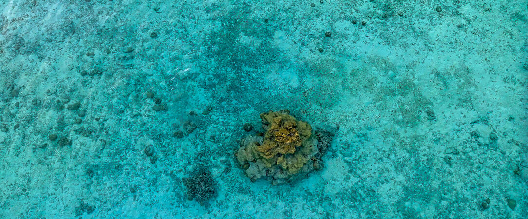 Hôtel Framissima Evasion Canareef Resort ★★★★ - Votre Villa aux Maldives, pour un dépaysement absolu au cœur de l'océan Indien. - Maldives