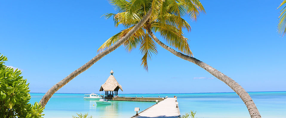 Hôtel Framissima Evasion Canareef Resort ★★★★ - Votre Villa aux Maldives, pour un dépaysement absolu au cœur de l'océan Indien. - Maldives