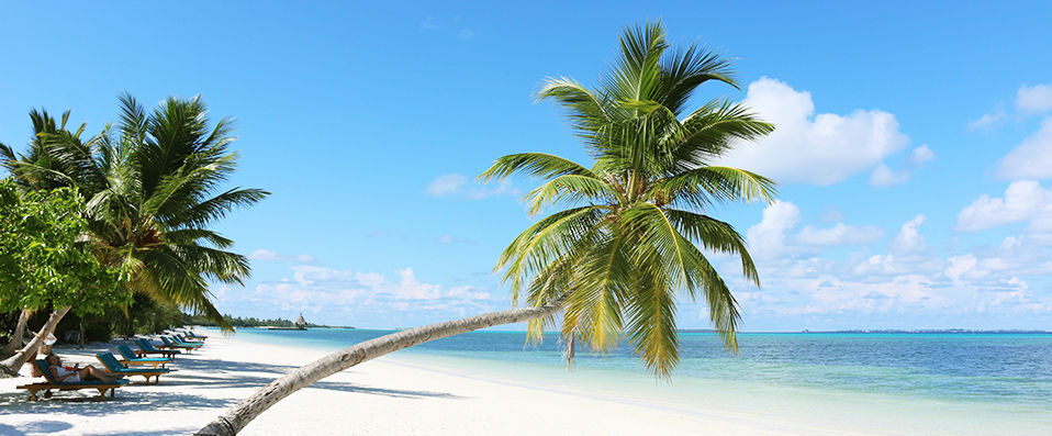 Hôtel Framissima Evasion Canareef Resort ★★★★ - Votre Villa aux Maldives, pour un dépaysement absolu au cœur de l'océan Indien. - Maldives