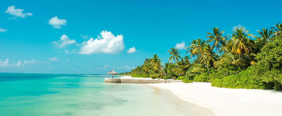 Hôtel Framissima Evasion Canareef Resort ★★★★ - Votre Villa aux Maldives, pour un dépaysement absolu au cœur de l'océan Indien. - Maldives