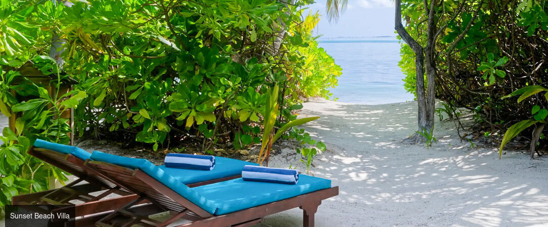 Canareef Resort Maldives ★★★★ - Votre Villa dans les Maldives, pour un dépaysement absolu au cœur de l’océan Indien. - Maldives