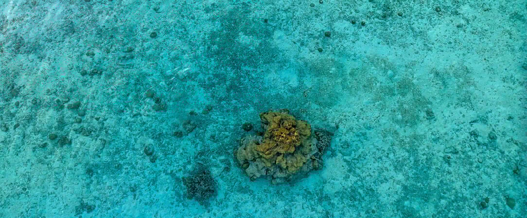 Hôtel Framissima Evasion Canareef Resort ★★★★ -  - Maldives