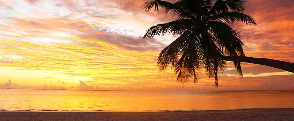 Hôtel Framissima Evasion Canareef Resort ★★★★ -  - Maldives