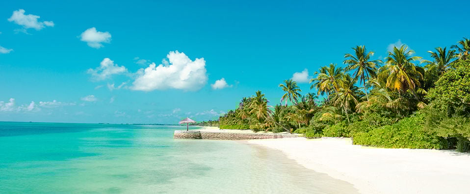 Hôtel Framissima Evasion Canareef Resort ★★★★ -  - Maldives