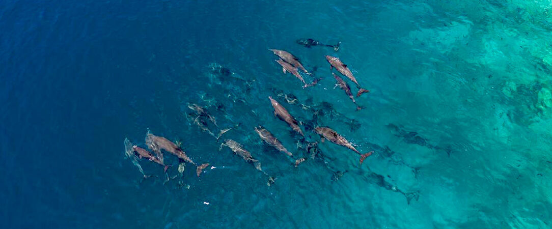 Filitheyo Island Resort ★★★★ - Parenthèse irréelle au paradis des Maldives. - Maldives