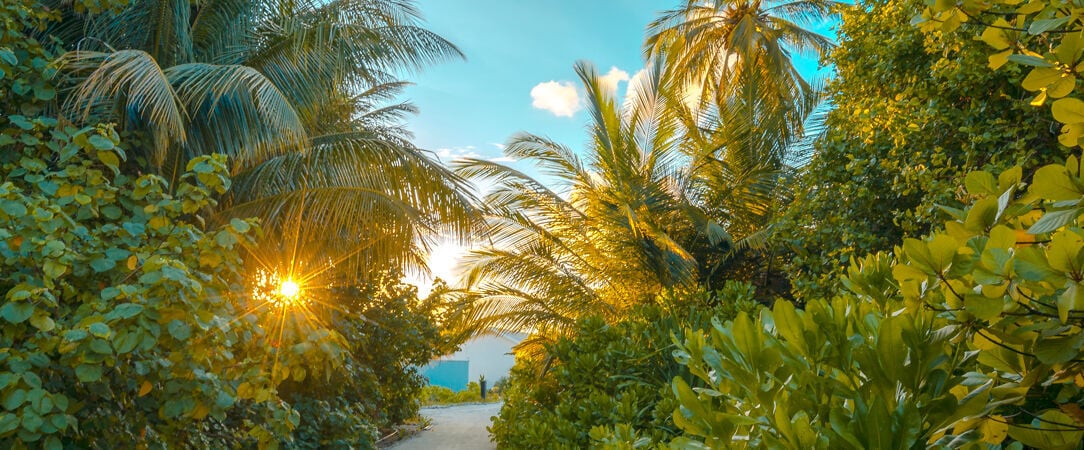 Rahaa Resort Laamu Atoll ★★★★ -  - Maldives